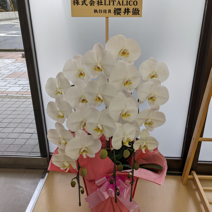 画像329