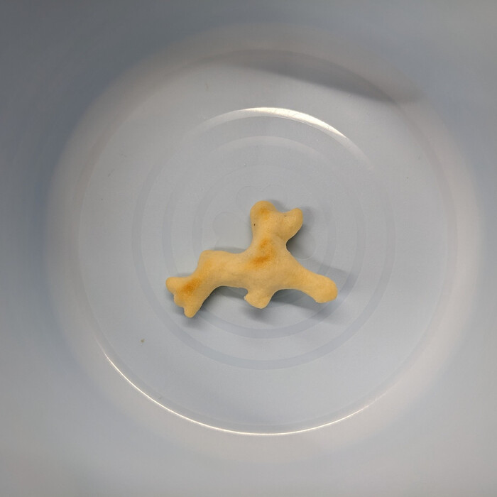 画像342