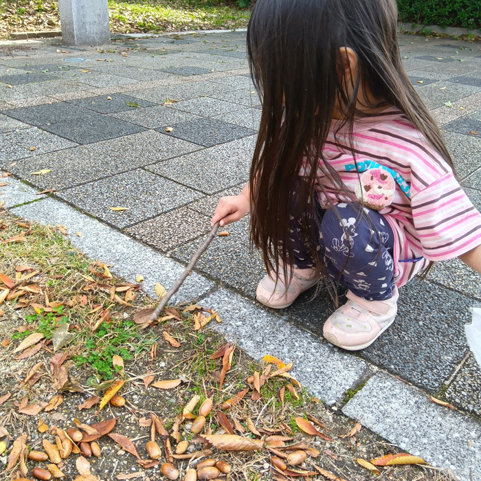 画像577